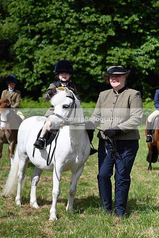 WJ7_0841 - Class 8 First Rally Pony