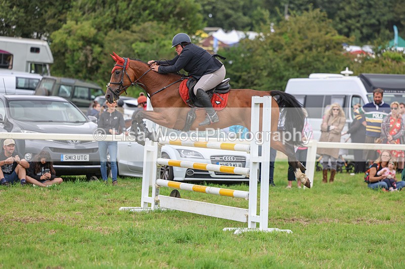 3E7A8262 - Class 7: Senior Newcomers/1.10m open