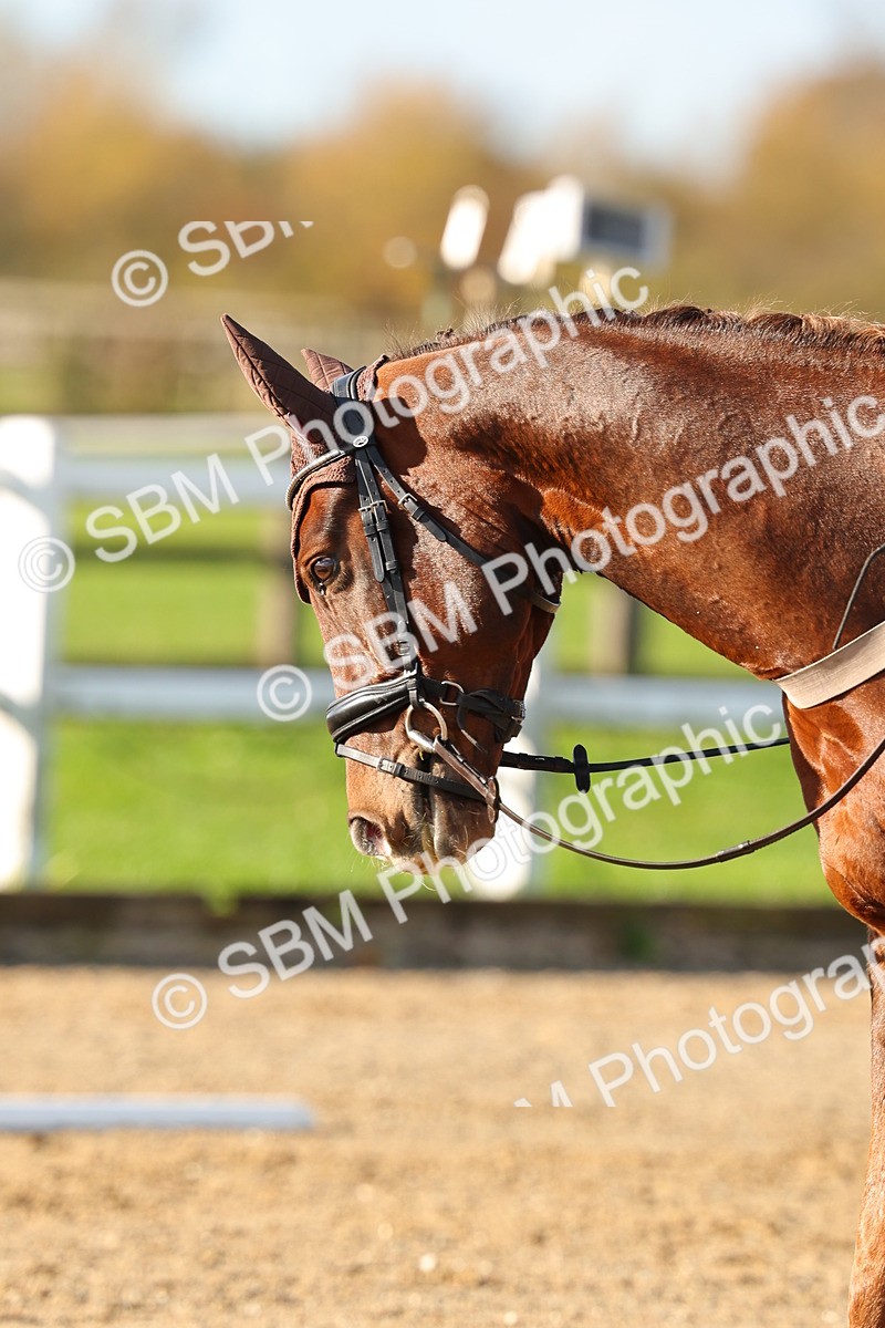 SBM_000336 - Prelim 5