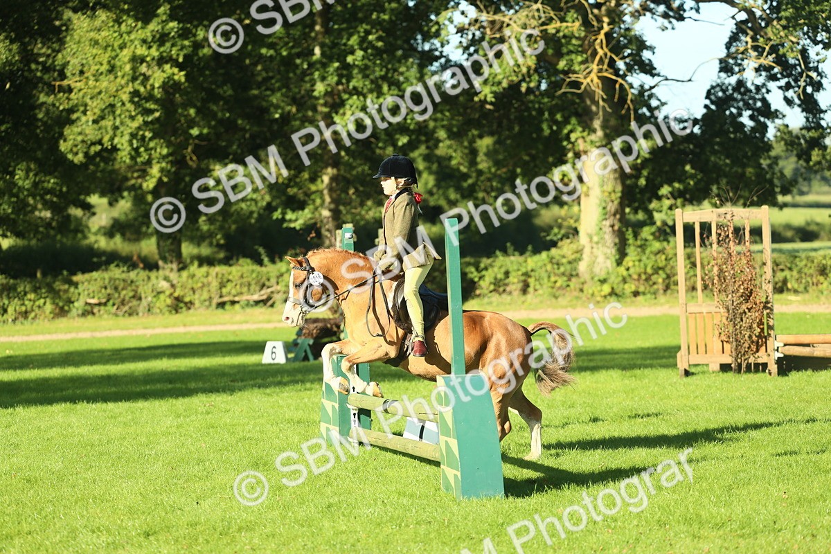 SBM_36341 - S29 - Novice & Newcomers Working Hunter Pony