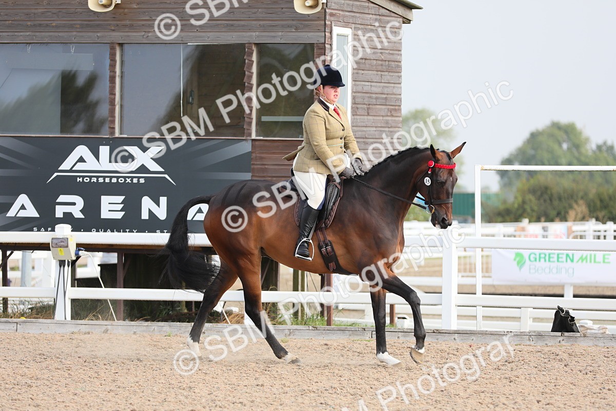 SBM_10706 - Class 303 Ridden Pure Bred Horse/Pony (excl M&M)