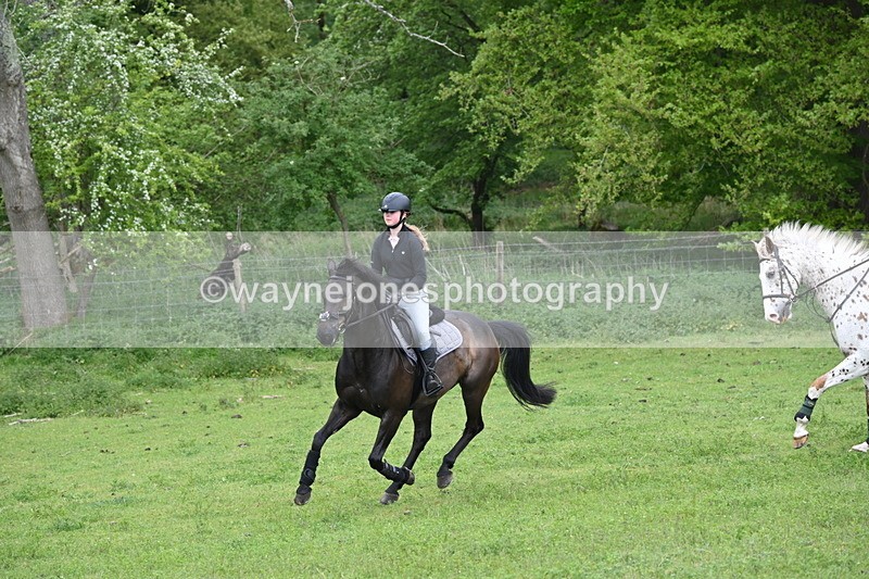 WJ6_2862 - A Camera