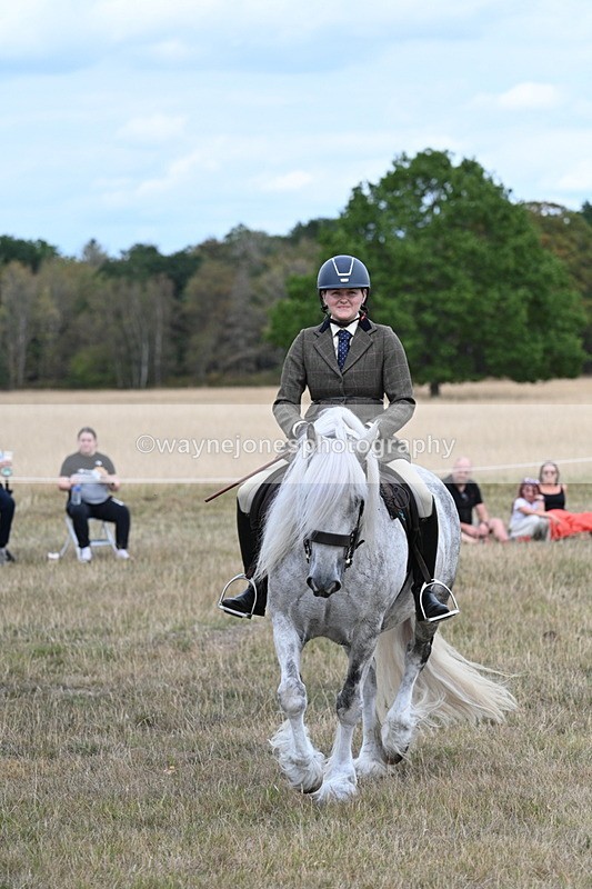 WJ7_5151 - Class 12 Ridden Cob
