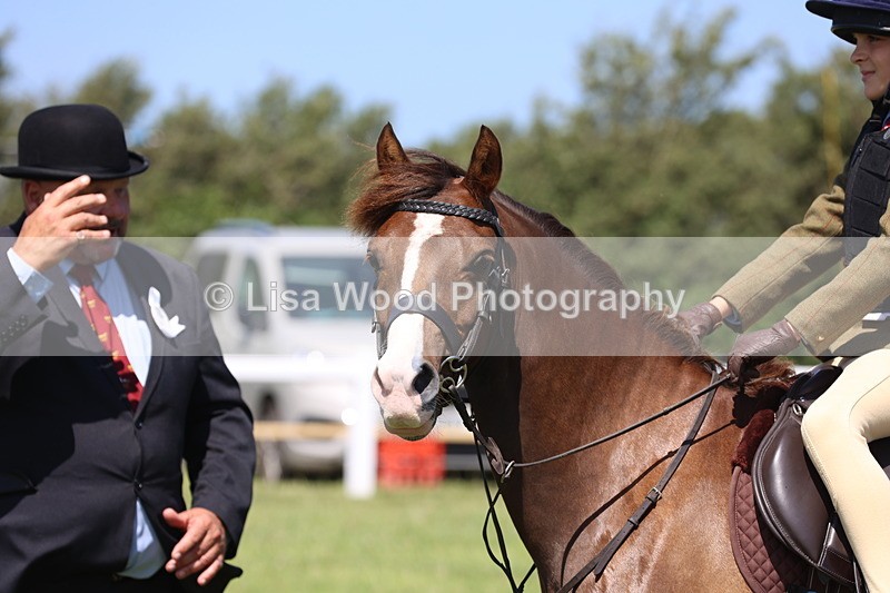 JPP_2218 - Class 20: Tiny Tots Working Hunter Pony