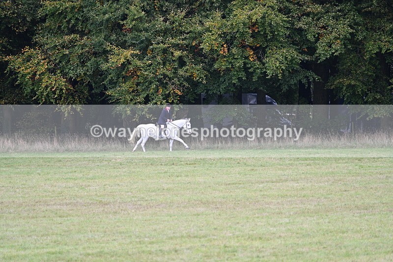 WJ7_4012 - Camera 1 Line 2