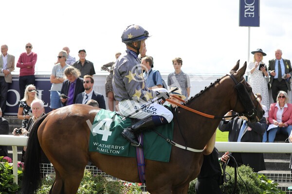 yr19082022r2-13 - Race 2 2.25pm Weatherbys Hamilton Lonsdale Cup (British Champions Series Race)