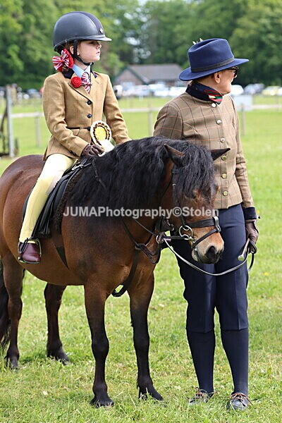 IMG_2341 - Working Hunter