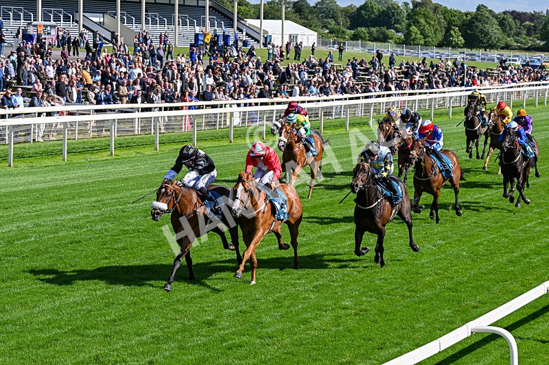 120626-Race 6-Rotokura Belle-0350 - Race 6 16.45pm Dawson Williamson Architects Handicap