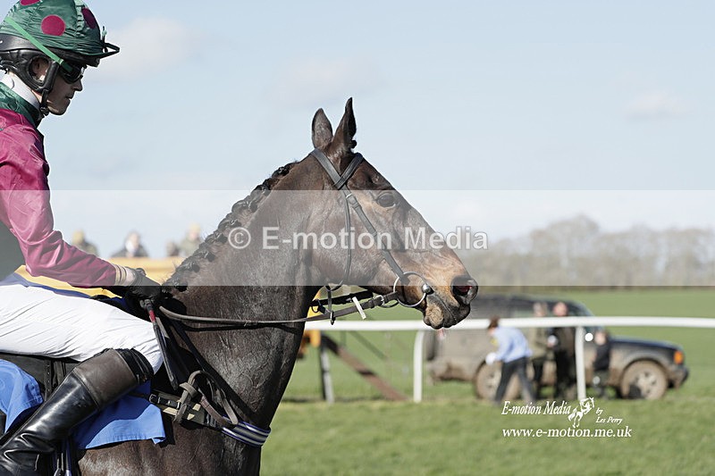 PtP 100423 1291 - Old Berkshire Point-to-Point Lockinge 10/04/23