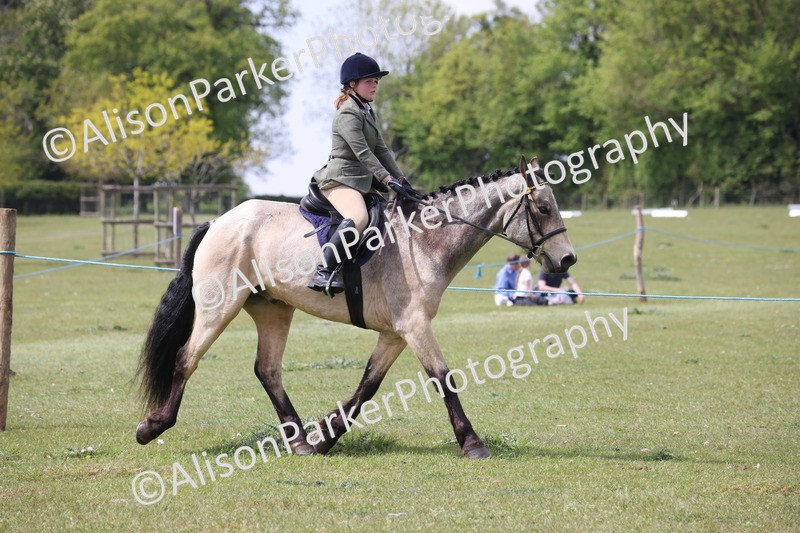 20260426-4311 - Class 34 - Best Riding Horse Over 14.2hh
