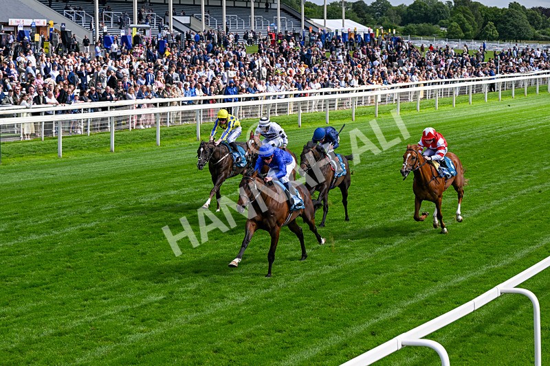 130626-Race 5-Inner City Blues-1784 - Race 5 16.15pm Tomahawk Restaurants Supporting Macmillan EBF Maiden Stakes