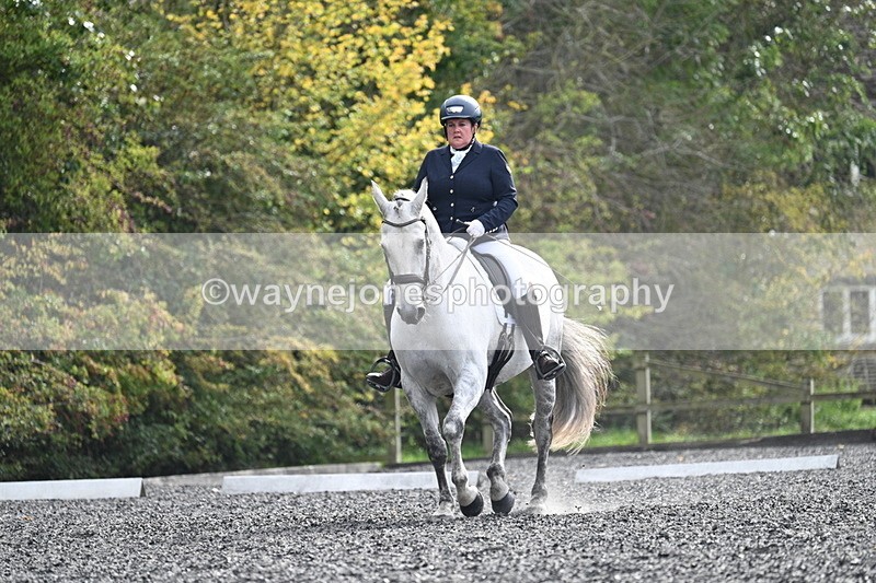 WJ7_6822 - Time 14:49 to 15:14