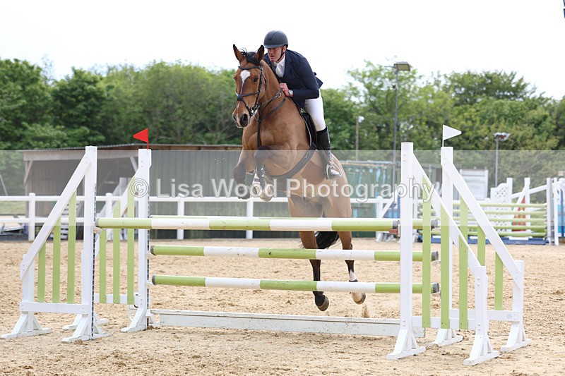 3E7A7644 - Class 8: Senior Foxhunter/1.20 open