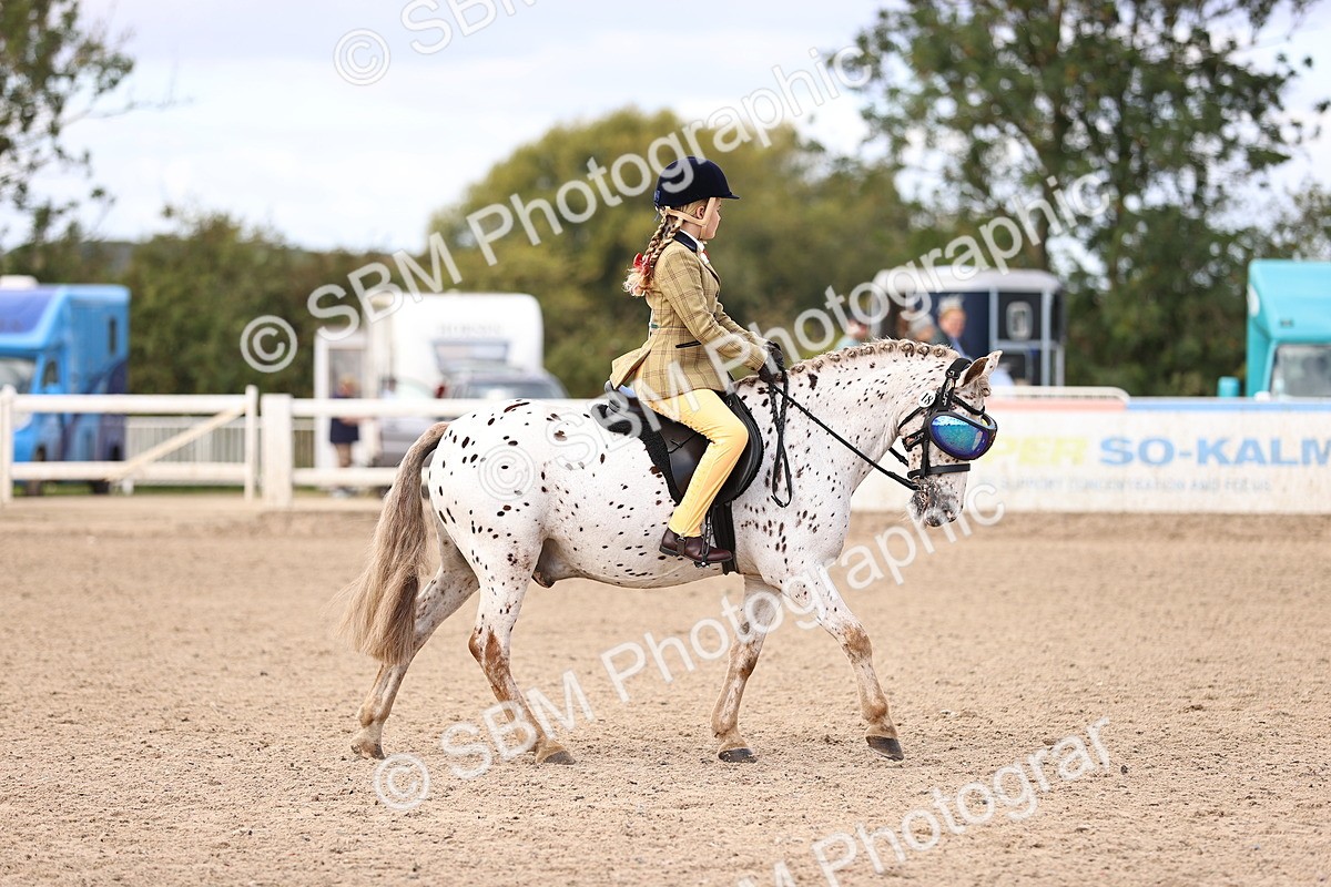 SBM_12824 - Class 409 - Grassroots Ridden - Pony