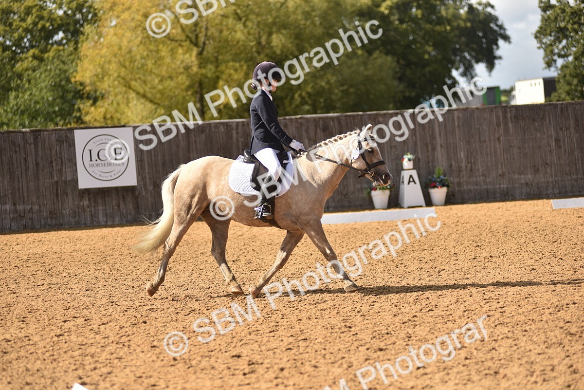 SBM_48778 - D22 - Junior Championship Intro 3