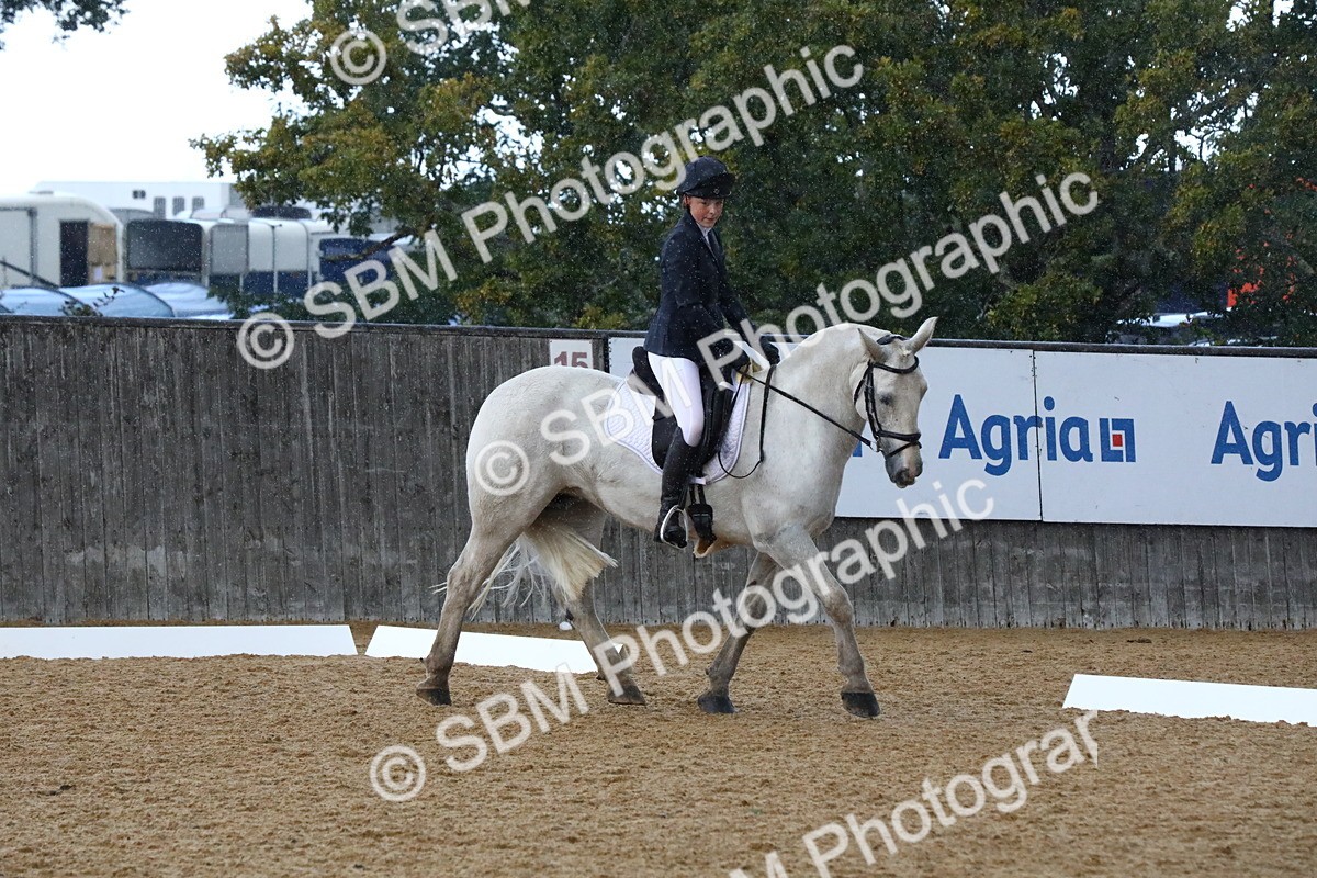 SBM_20881 - D5 - Small Tour Championshop Intro 2