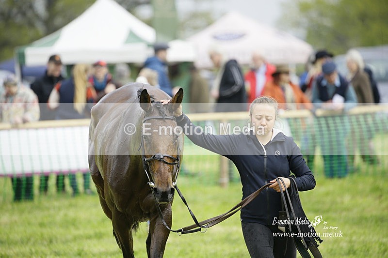 PtP 230422 210 - Berkeley Races - Woodford Glos 23/04/22