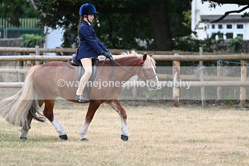 WJ7_0427 - Class 2 Best rider