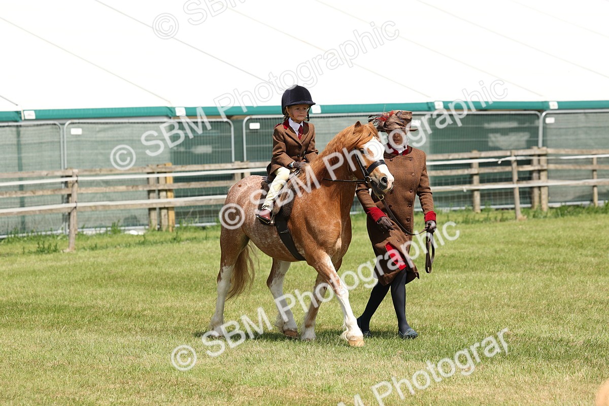 SBM_05268 - Class 24-25 - Mountain & Moorland In Hand Lead Rein and First Ridden