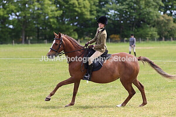IMG_3349 - Working Hunter