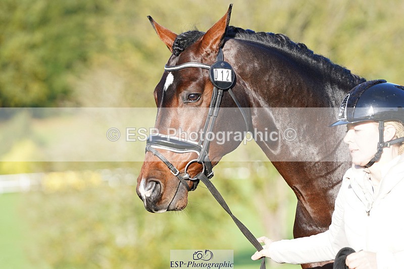 241026-101712-11752 - 012-Mollie.Summerland-SKITTEL.D'EKWI