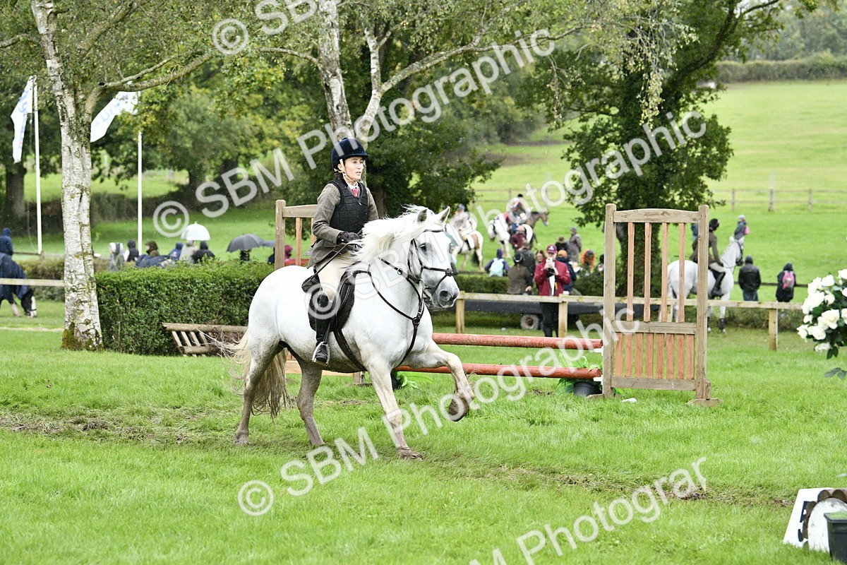 SBM_42273 - S32 - Mountain & Moorland Working Hunter Pony