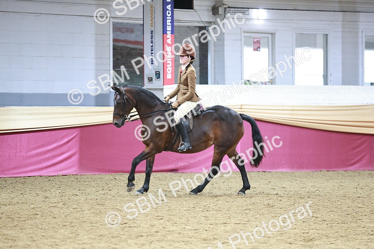 SBM_08232 - Class 11R - Regional Ridden Veteran