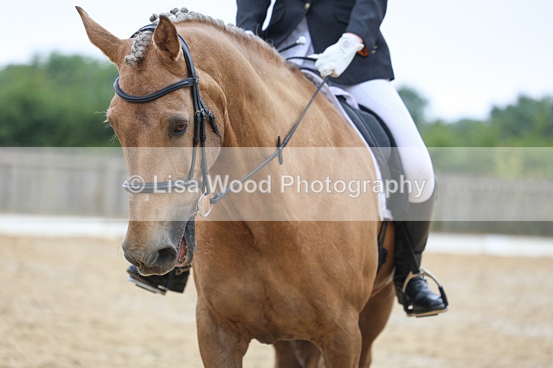 3E7A8609 - Class 2: Intro 3 2024 section B