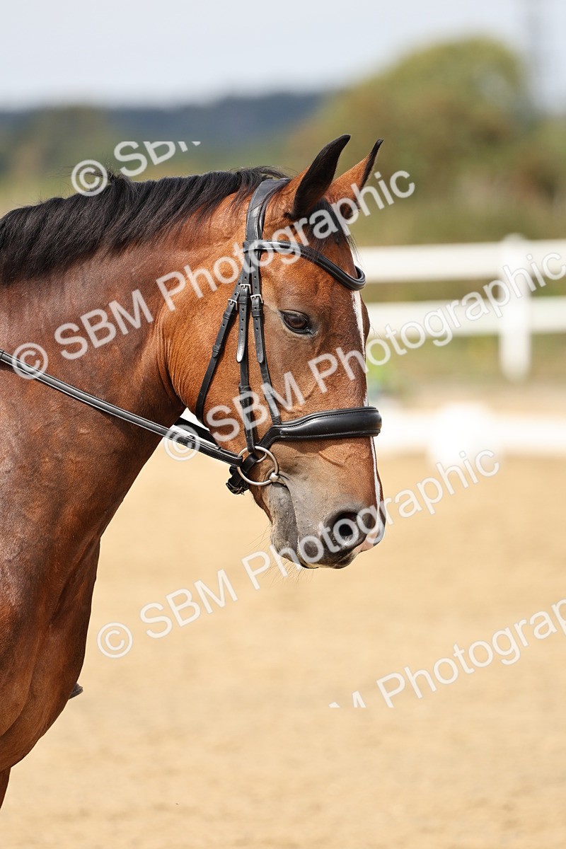 SBM_013189 - Class 3 - Novice 4 - 11.43-12.25
