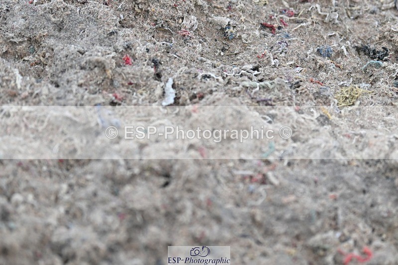 250125-141600-00810 - Dressage - CT Class 7 BE Novice 112