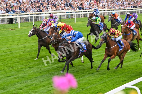 260725-Race 2-Elmonjed-7249 - Race 2 2.00pm Sky Bet Dash Handicap