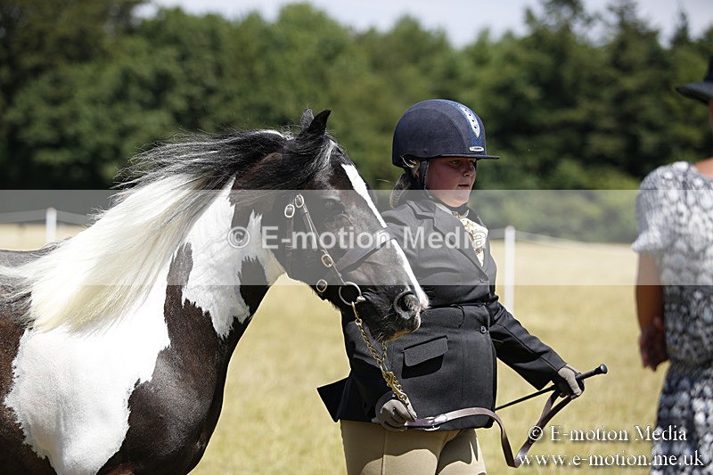 _C7A0070 - BVRC Sow 2018 Ring 2