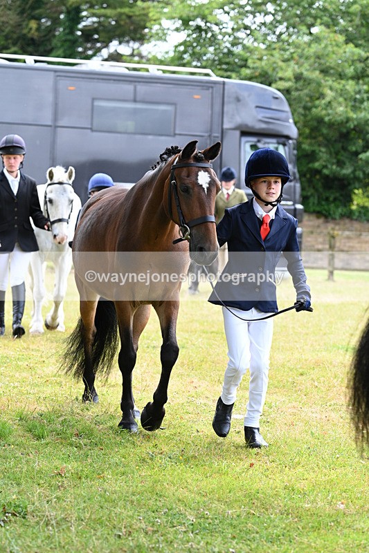 WJ7_6491 - Class 5 Handsome Gelding in hand