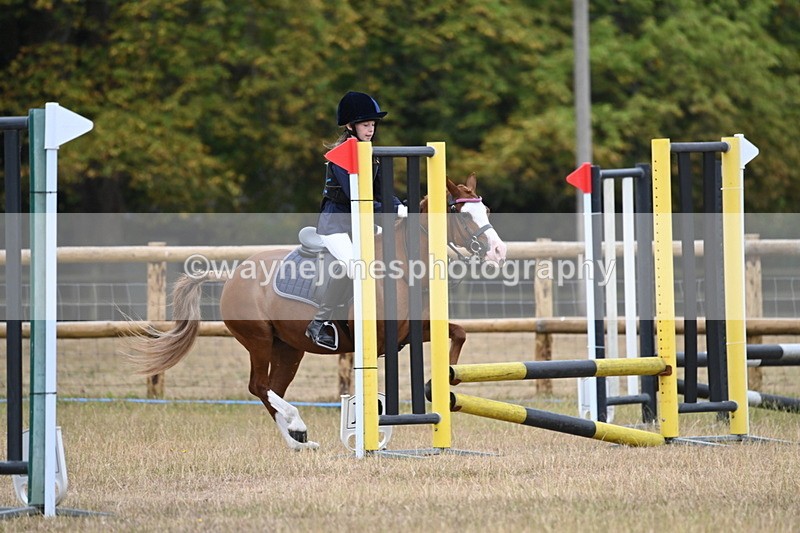 WJ6_0151 - Class 13 Novice Jumping 60cm