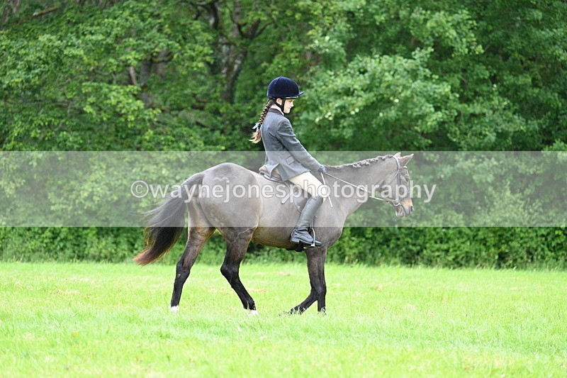 WJ7_4485 - Class 14B Prettiest Mare