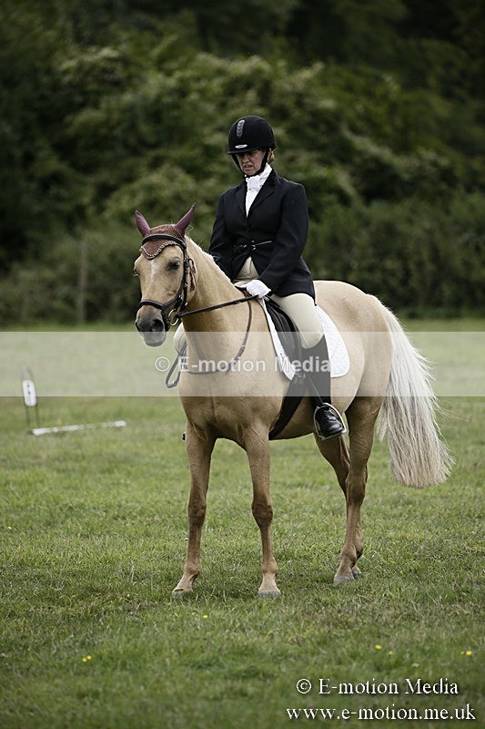 BVR080918 308 - BVRC Novice Dressage & CR 08/09/18