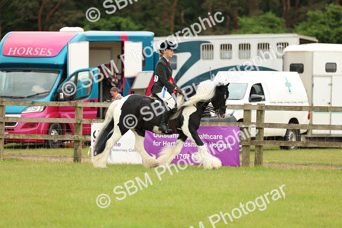 SBM_06362 - Class 39-41 TGCA In Hand and Ridden