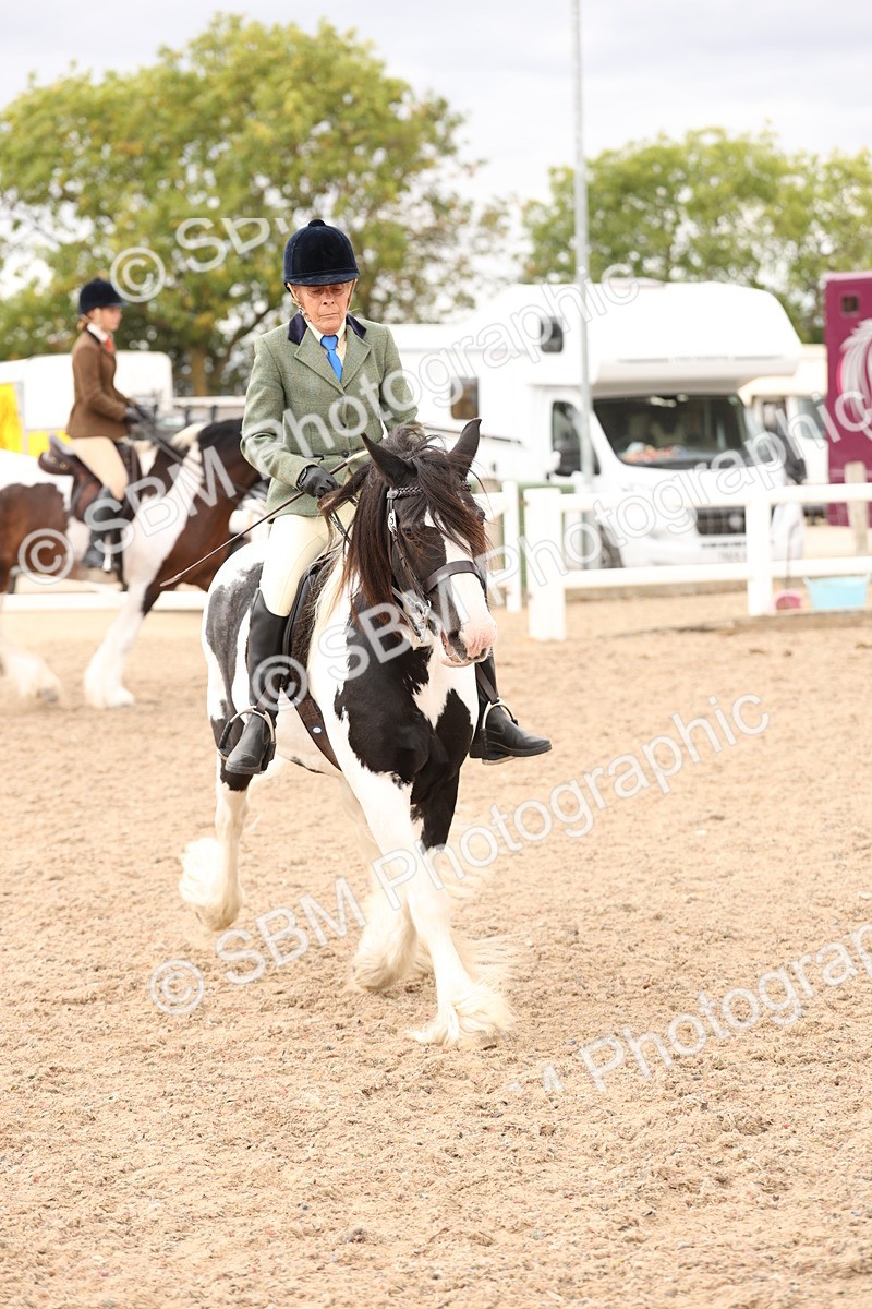 SBM_19676 - Class 216 - Ridden Traditional - Native Cob