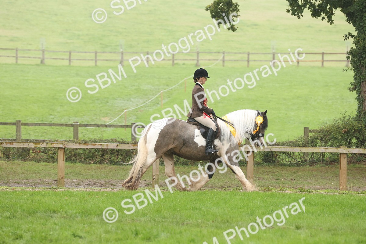 SBM_72962 - Ridden Horse Supreme Championship