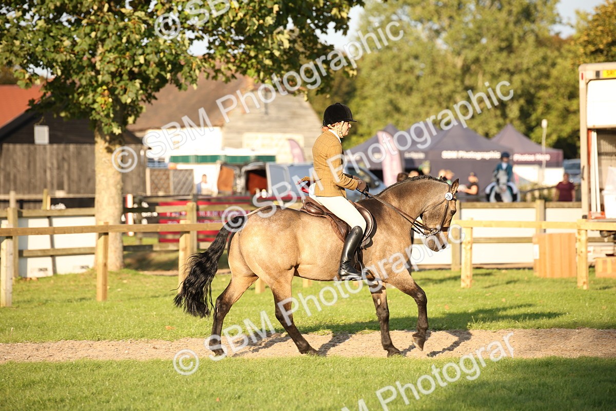 SBM_54443 - S27 - Mature Veteran - Ridden