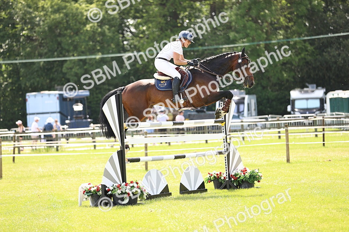 SBM_03951 - Class 201 - British Horse Feedds Speedi Beet HOYS Grade C