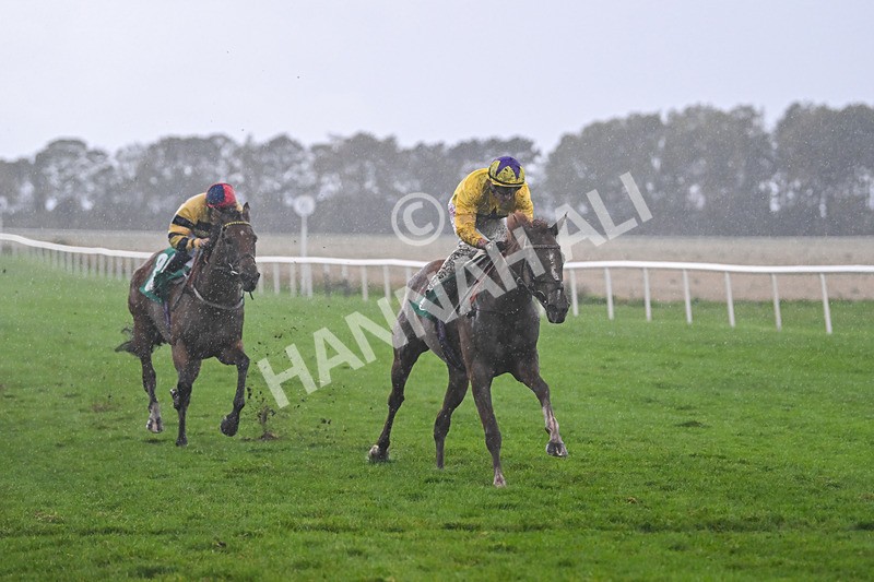 150925-Race 6-Day Of Grace-3143 - Race 6