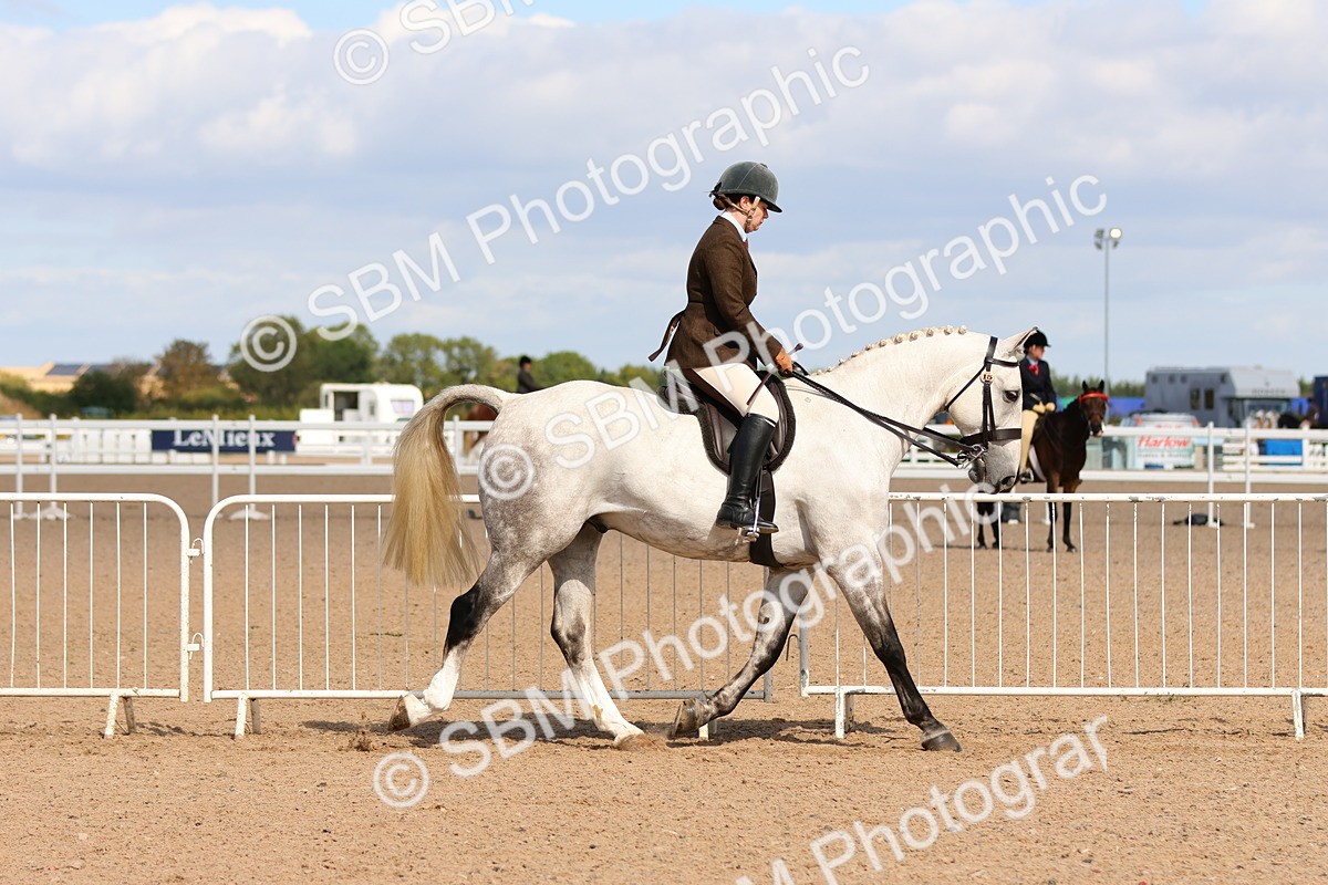 SBM_13461 - Class 212 - Ridden Hunter  - Large