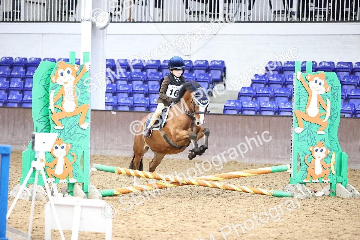 SBM_000261 - Class 2 - The Rug Lady 40cm Area 12 Championship Qualifier