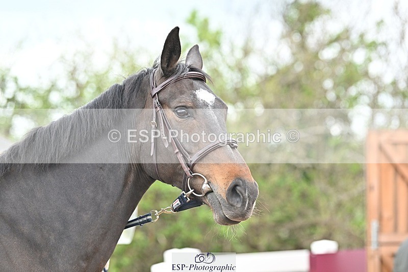 250423-145635-01375 - 2pm to 3pm