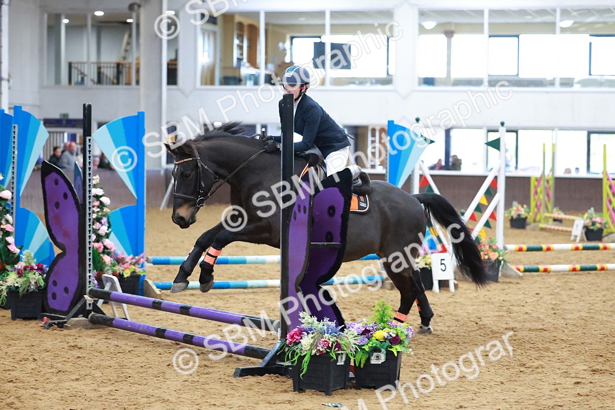 SBM_001646 - Class 3 - Horse & Hound (60cm)