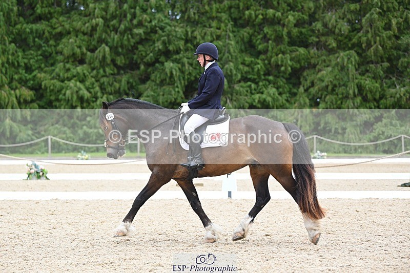 230813-140427-07666 - Cls 13 Medium Bronze 13.15 to End