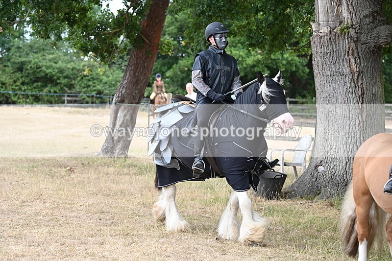 WJ6_8899 - Class 11 Fancy Dress
