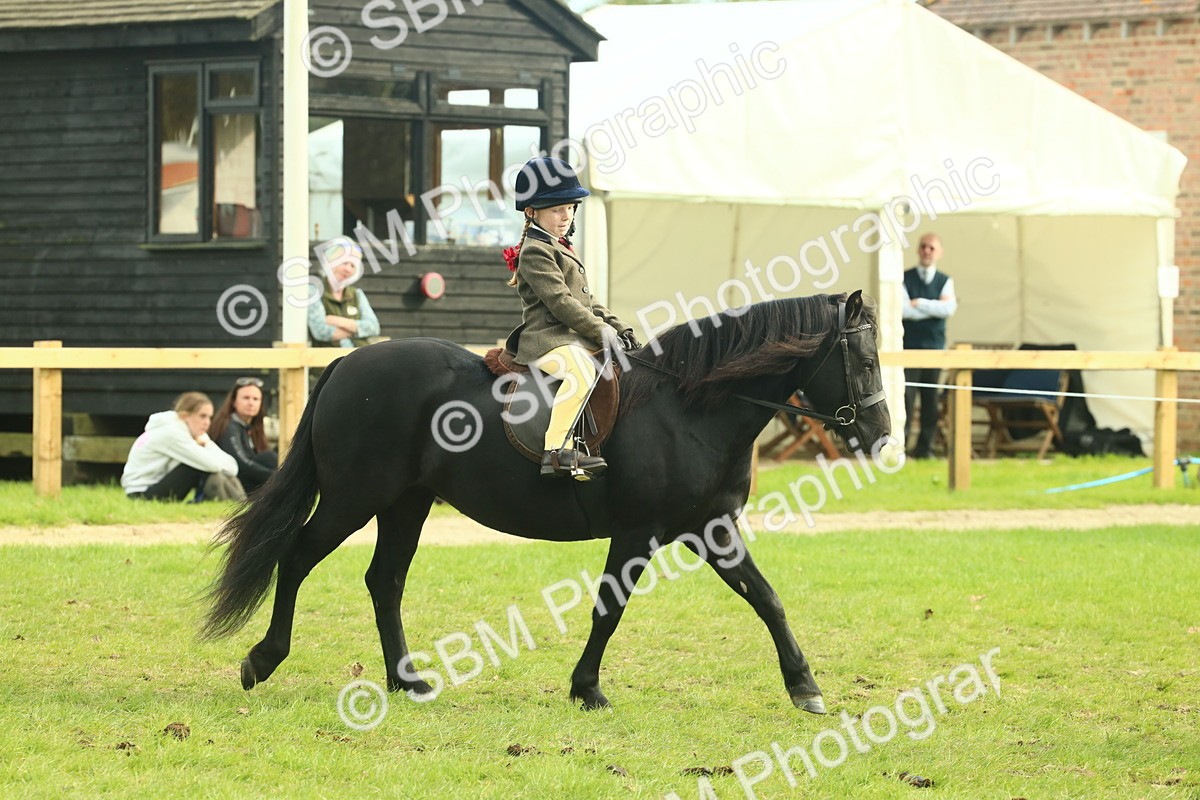 SBM_69774 - S59 - Mountain & Moorland Ridden Small Breeds