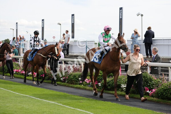 yr08072022r6-2 - Race 6 5.00pm Irish Thoroughbred Marketing Stakes